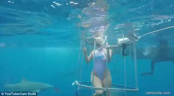Porn Star Cries Out After Being Bitten By A Shark During Underwater Photo-shoot {See Photos}